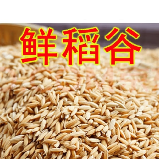 林甸县稻谷带壳大米，东北农家自种