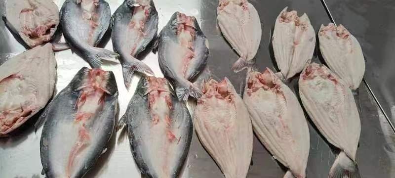 广州开背巴沙鱼