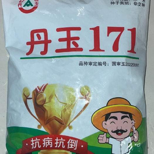 国审丹玉171、抗病抗倒伏、黄金角质粮、产量好，不突尖。