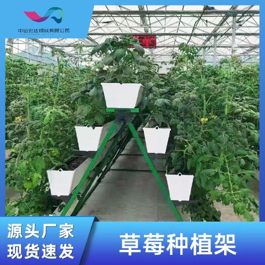 天津草莓种植槽A字立体温室蔬菜pvc叶菜水培槽批发草莓立体种植槽