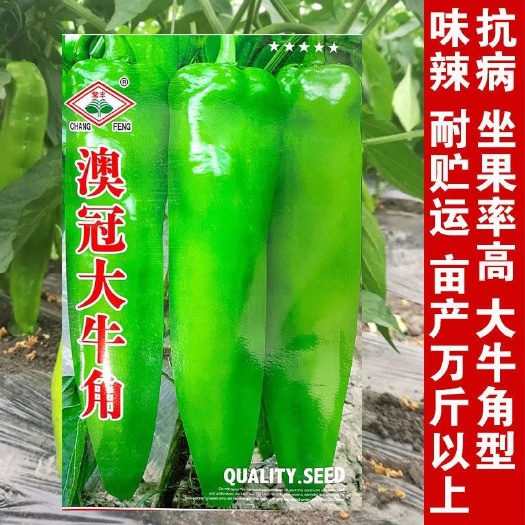 长沙澳冠大牛角椒种子黄皮大羊角辣椒种籽薄皮椒味辣春秋蔬菜种孑