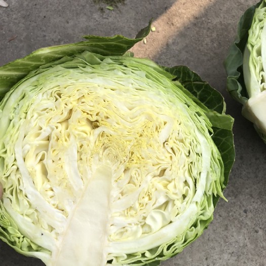 蒲江县甘篮