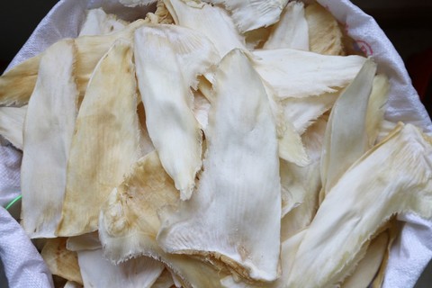 乌羊片［包邮］乌羊骨翅开边去骨鱼翅轻称出翅针率高足干货牙拣