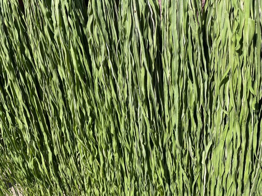 【品质精选】贡菜 响菜苔干贡菜干贡菜精选脱水蔬菜基地批发价格 【品质精选】贡菜 响菜苔干贡菜干贡菜精选脱水蔬菜基地批发价格