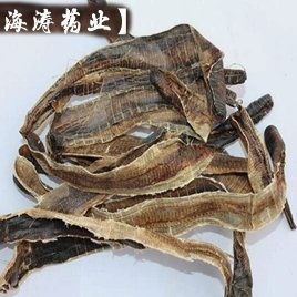 【地龙】产地广西实物拍摄一手货源大货供应规格齐全量大优惠。
