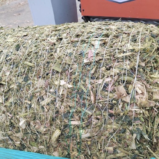 沈丘县黄储，青储，秸秆饲料