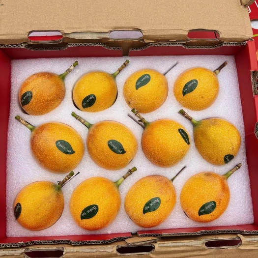 广州西双版纳新鲜热情果礼盒10-12个装2斤