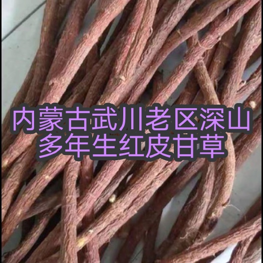 武川县内蒙古武川深山老区多年生梁外红皮甘草