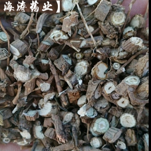 鄄城县【柴胡】山西产地实物拍摄一手货源大货供应规格齐全量大优惠