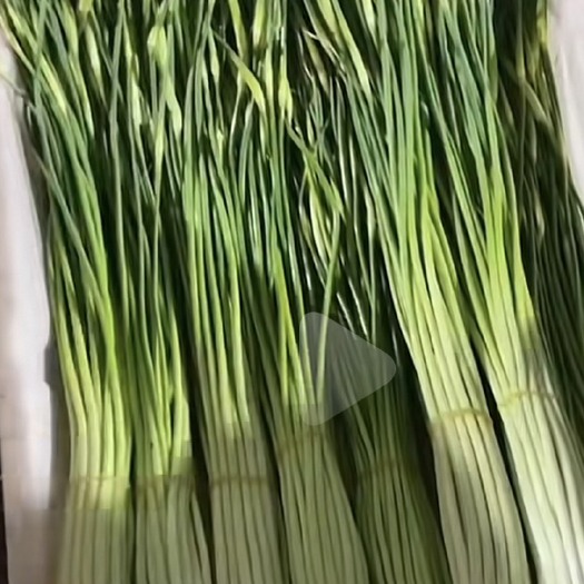 邳州市蒜薹