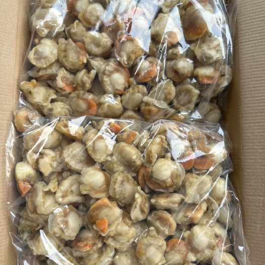 济南原汁去胃扇贝肉20/40