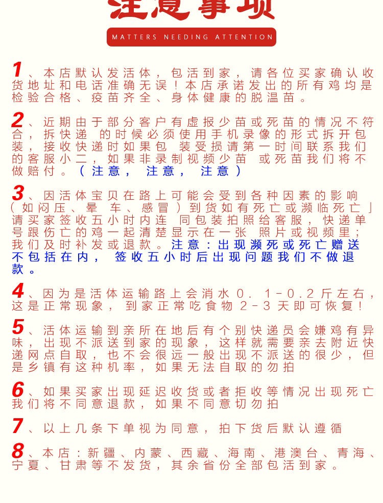 半斤狮头鹅苗纯种狮子头正特大型狮头鹅活苗批发鹅苗原产地澄海