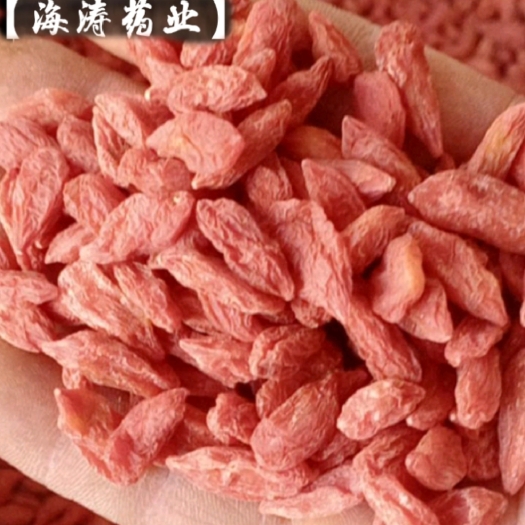 鄄城县【枸杞子】宁夏产地一手货源大货供应规格齐全量大优惠。