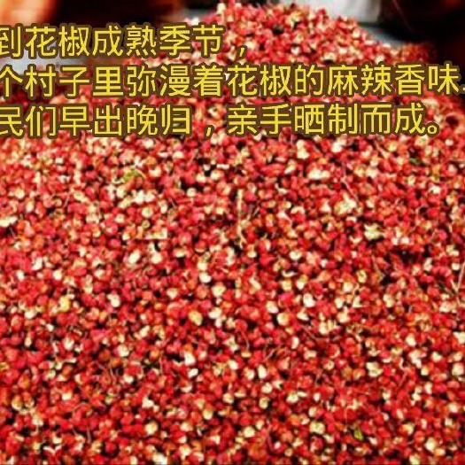 芮城县大红袍花椒