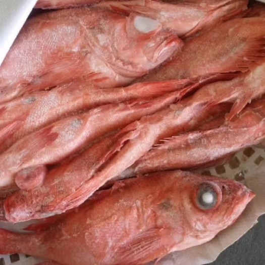 红石斑鱼冷冻整条深海红鱼
