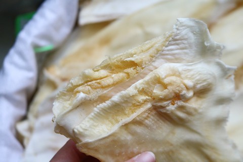 乌羊片［包邮］乌羊骨翅开边去骨鱼翅轻称出翅针率高足干货牙拣