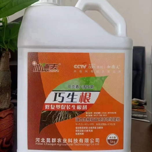 行唐县加德夫 巧生根