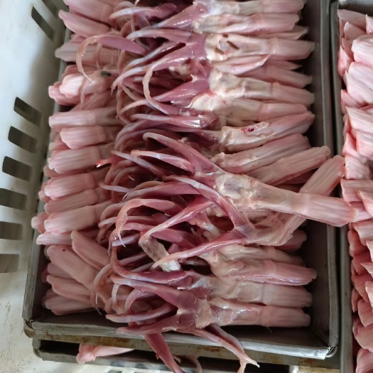 沂南县鸭舌  欢迎咨询