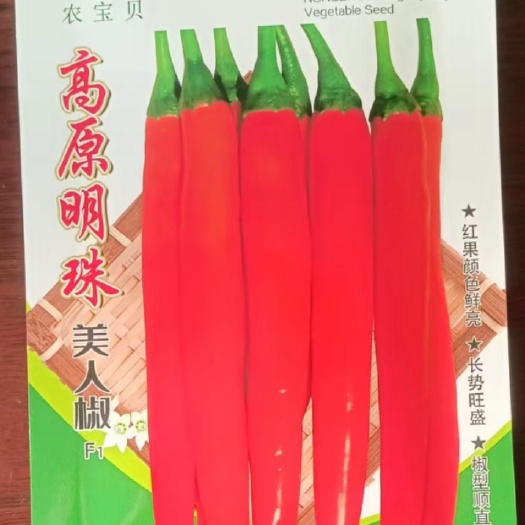 陆良县美人椒种子