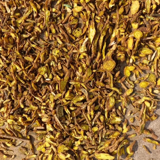 绛县黄芩片