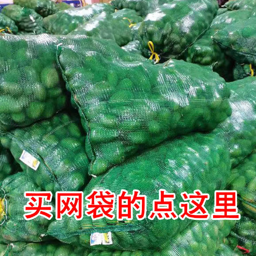 东光县网袋编织袋网眼袋水果蔬菜玉米土豆洋葱大蒜装家禽使用包装网兜袋
