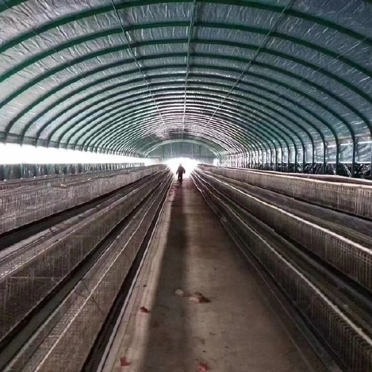 沭阳县养殖大棚钢管骨架