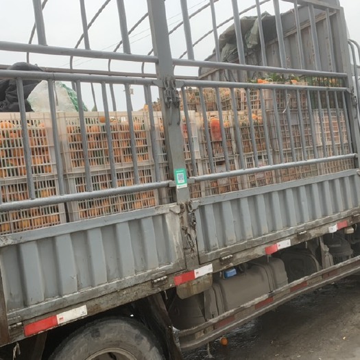 奉节电商小果….