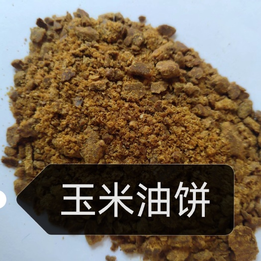 石家庄玉米油饼