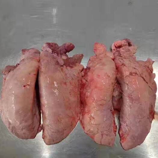 湛江猪肺   性价比超高的猪肺