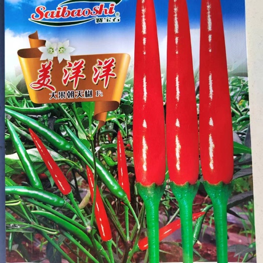 陆良县朝天椒种子