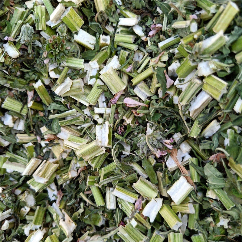 益母草中药材益母草