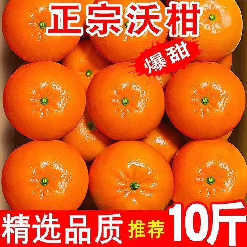宾阳县【果园直发】广西武鸣沃柑精选新鲜水果一件10斤批发现摘