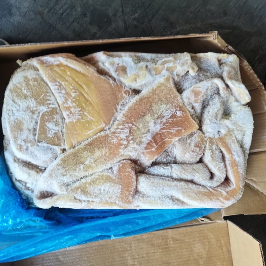 广州美国7142母牛牛肚