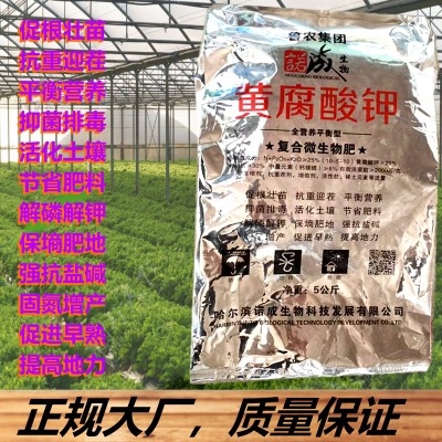 潍坊矿源黄腐酸钾农用黄腐殖酸原粉叶面肥保花保果抗重微生物菌肥