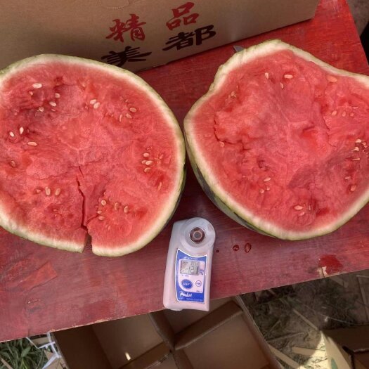 海南麒麟瓜