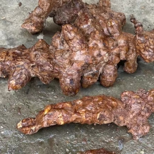 河池两广地区土茯苓，挑选货，需要提前预定，拍下就挖