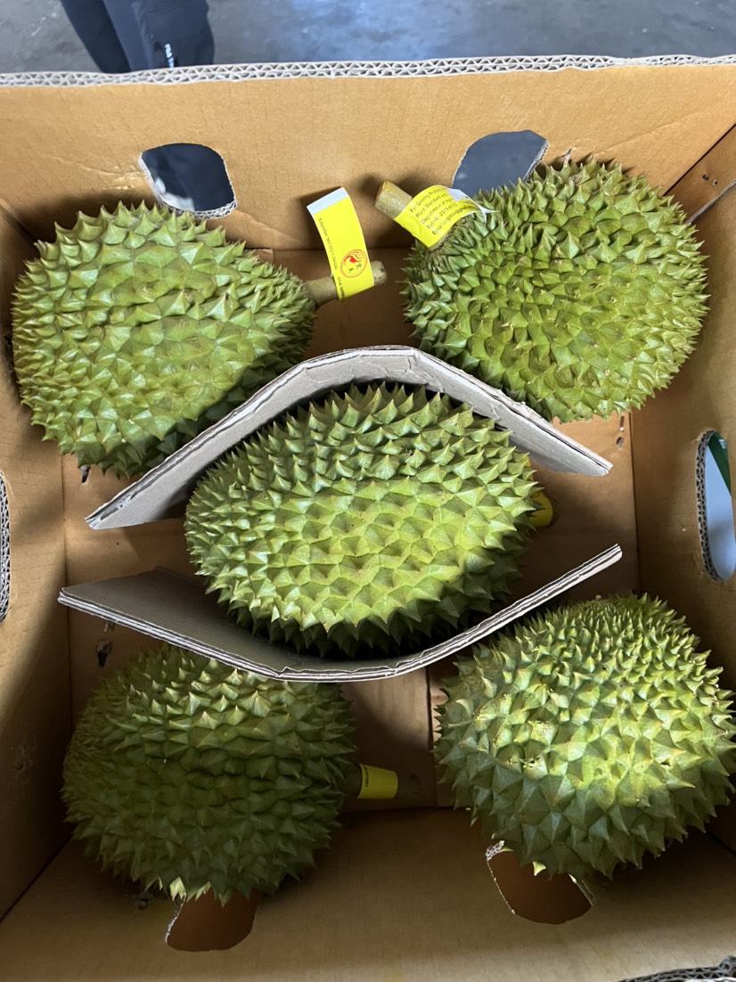 广州泰国榴莲拖慢尼 甲仑 金枕头 青尼 长丙