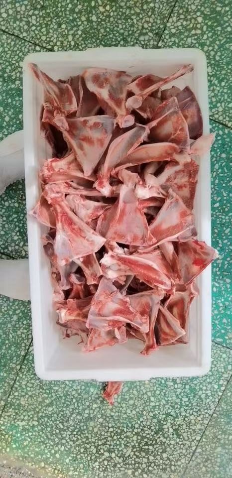 河间市羊扇子骨，羊汤馆熬汤可选 可当作宠物粮磨牙棒