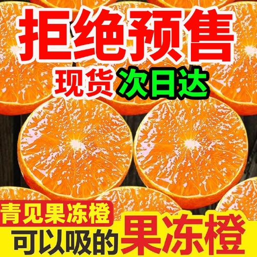 丹棱县四川青见果冻橙产地直发支持团购电商一件代发大量有货