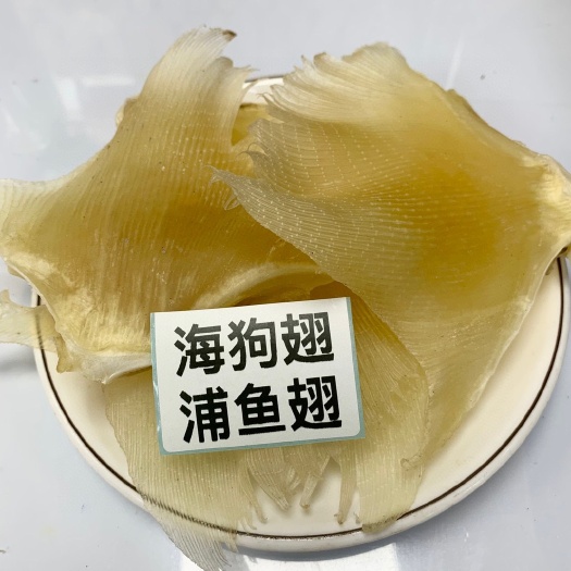广州大中小号北海特产鳐鱼翅干浦鱼翅鲽鱼翅煲汤材料海产干货