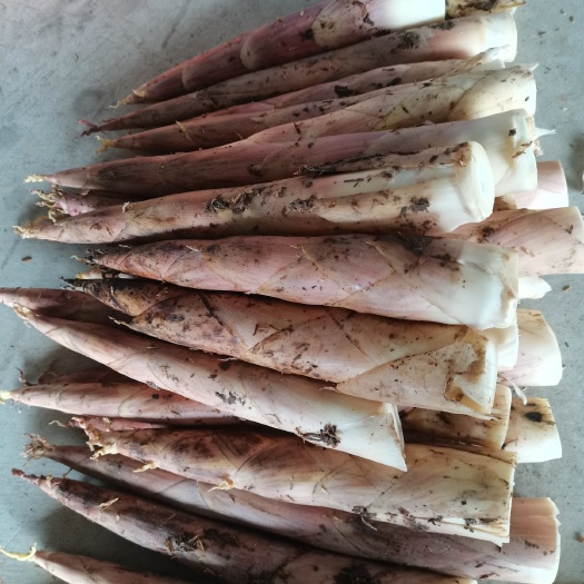 建瓯市鲜嫩雷竹笋，企业加工，平台电商，社区团购，整车物流方便快捷。