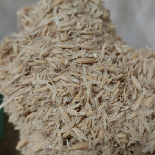 东莞市燕麦壳。