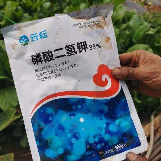 荥阳市99%磷酸二氢钾保花保果，促进枝条老熟，膨果增甜