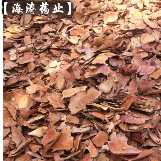 鄄城县【茯苓】红茯苓木质.粉质实物拍摄产地一手货源大货供应量大优惠