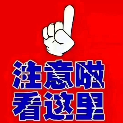 清原县北苍术