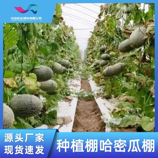 蔬菜大棚 蔬菜瓜果种植大棚管 大棚骨架 哈密瓜种植棚温室大棚