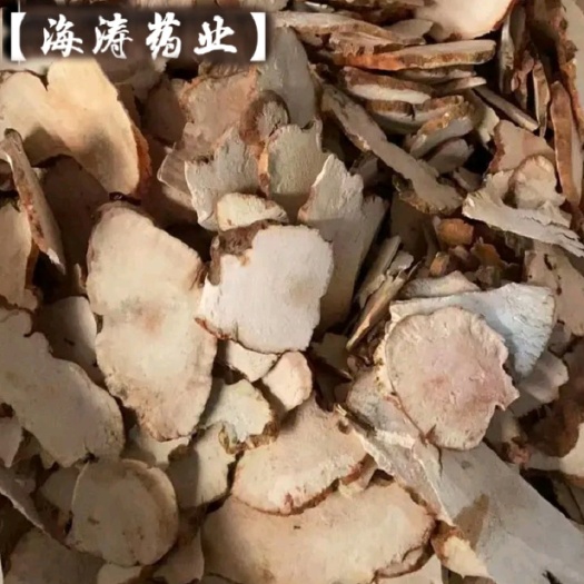 鄄城县【茯苓】白茯苓木质.粉质实物拍摄产地一手货源大货供应量大优惠