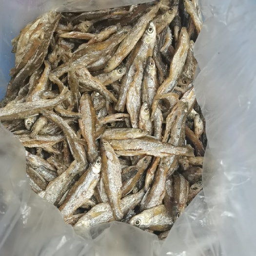 广州山坑鱼炸熟鱼