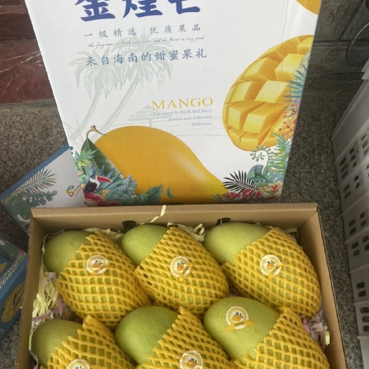 三亚海南三亚金煌芒
