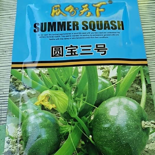 陆良县西葫芦种子